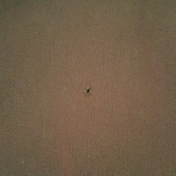 Vintage McCurdy's of Rochester Fur Coat - Picture 7 of 7